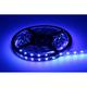 LED pás 4,8W, 12V, 60pcs/m - 3528 SMD, modrý, IP20, šírka 8mm