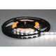 LED pás 4,8W, 12V, 60pcs/m - 2216 SMD, studená biela, IP20, šírka 8mm